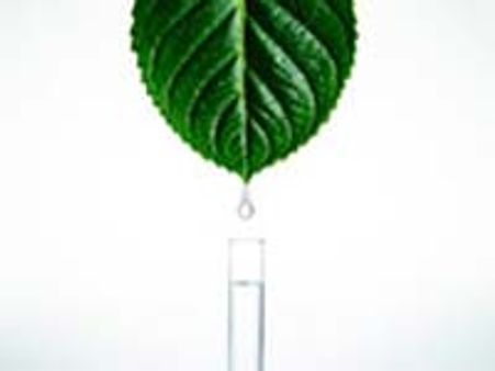 ಬರಪೀಡಿತ ರಾಜಸ್ಥಾನಕ್ಕೆ ಹರಿದುಬಂದ ಆಕಾಶಗಂಗೆ