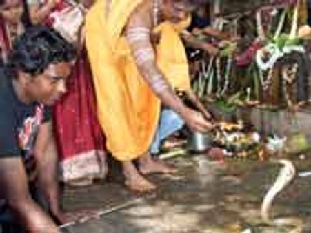 ಪಂಚಮಿಯಂದು ಭಕ್ತರಿದ್ದಲ್ಲೇ ಬಂದ ನಾಗಪ್ಪ!