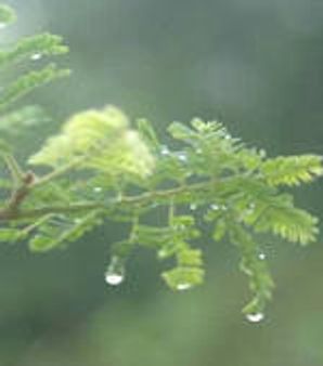 ಬೆಂಗಳೂರಿನಲ್ಲಿ ಭಾರಿ ಮಳೆ : ಜನಜೀವನ ಅಸ್ತವ್ಯಸ್ತ