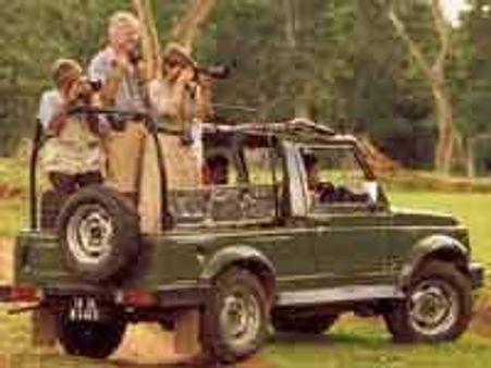 ಬಂಡೀಪುರ ಬಳಿಯ ಟಸ್ಕರ್ ಟ್ರೇಲ್ಸ್ ಜಂಗಲ್ ರೆಸಾರ್ಟ್