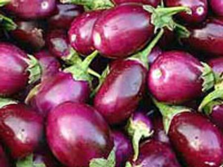 ಬಿ.ಟಿ ಬದನೆ ಸಾವಯವ ಕೃಷಿ ಮಿಷನ್ ಅರಿವು