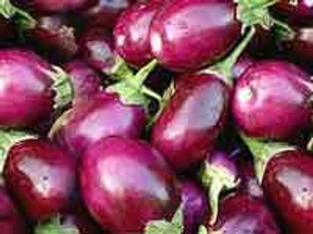 ಯಡಿಯೂರಪ್ಪನವರಿಗೆ ಬದನೆಕಾಯಿ ಮನವಿ