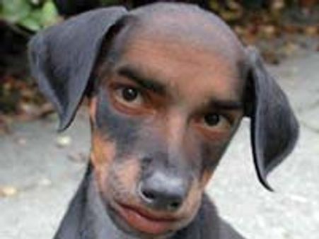 ನಗರದಲ್ಲಿ 2 ದಿನಗಳ ಶ್ವಾನಗಳ ಪ್ರದರ್ಶನ