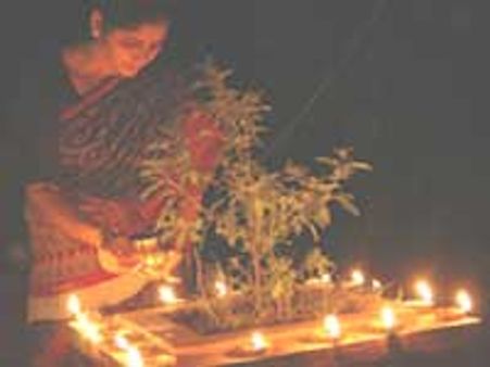 ಉತ್ಥಾನ ದ್ವಾದಶಿಯಂದು ತುಳಸಿ ಹಬ್ಬ