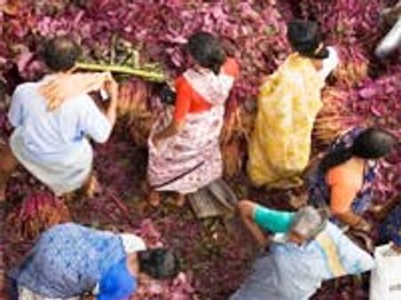 ಕೊಳೆತ ಮಾರುಕಟ್ಟೆಯಲ್ಲಿ ಹೆಂಗಸರ ತಾಜಾ ರಾಜಕೀಯ