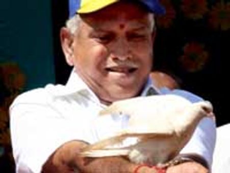 ಗೂಡಿನಿಂದ ಹೋದ ಹಕ್ಕಿಗಳು ಮತ್ತೆ ಬರಲಿವೆ