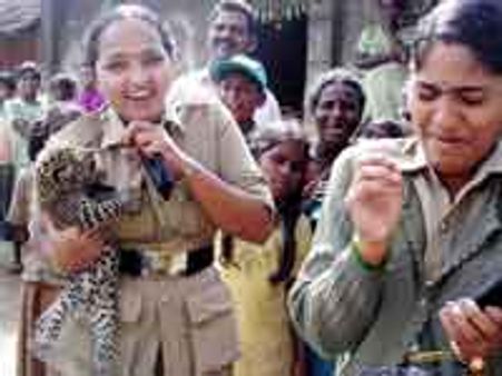 ತರೀಕೆರೆ ಏರಿಮೇಲೆ ಚಿರತೆಮರಿ