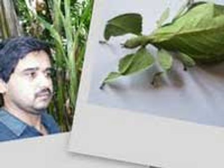 ನಿಯತಕಾಲಿಕೆಗಳ ವಾರಪತ್ರಿಕೆ!