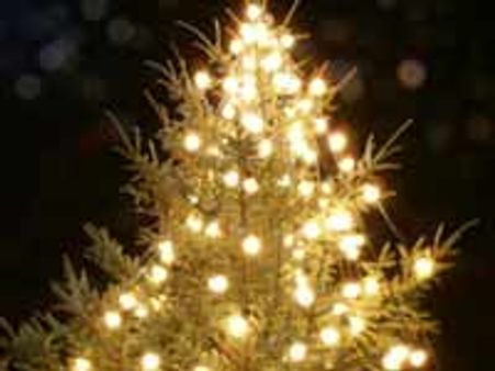 ನೀಲಗಿರೀಸ್ ಕೇಕ್ ಪ್ರದರ್ಶನದಲ್ಲಿ ಯುದ್ಧನೌಕೆ