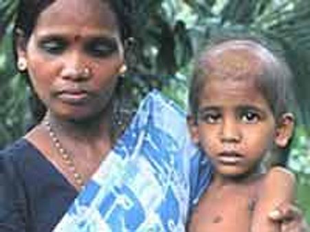 ವಿಷಕಾರಕ ಎಂಡೋಸಲ್ಫಾನ್ ನಿಷೇಧಕ್ಕೆ ಆಗ್ರಹ