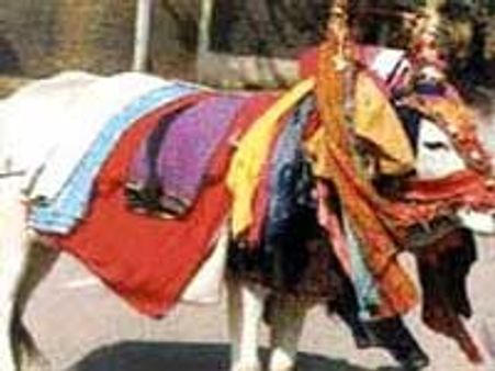 ಉತ್ತರಾಯಣದ ಹೆಬ್ಬಾಗಿಲ ತೋರಣ,ಮಕರ ಸಂಕ್ರಮಣ