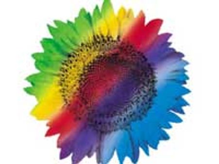 ಬಿಐಎಎಲ್ ಬಳಿ 50 ಎಕರೆ ನೀಡಿ: ವಿಪ್ರೋ