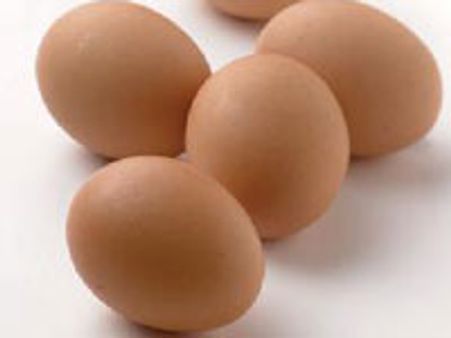 ಟೆಕ್ಕಿಗಳ ದಾಂಪತ್ಯಕ್ಕೆ ಕುತ್ತಾದ ತತ್ತಿ..!