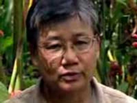 ಅಳಿವಿನಂಚಿನಲ್ಲಿ ಹಾರ್ನ್‌ಬಿಲ್ ಪಕ್ಷಿಸಂಕುಲ