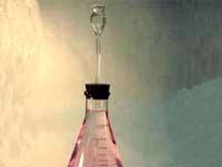 ಮಾ.3ರಂದು ರಾಷ್ಟ್ರೀಯ ವಿಜ್ಞಾನ ದಿನಾಚರಣೆ