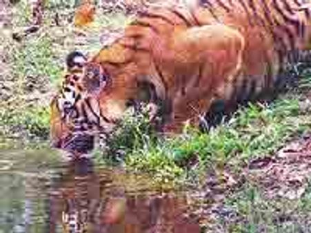 ಪಿಲಿಕುಳ ನಿಸರ್ಗಧಾಮಕ್ಕೆ ಕಾರಂತರ ಹೆಸರಿಡಿ