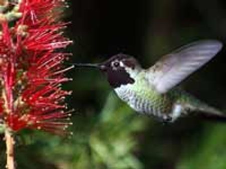 Success Breeds Success