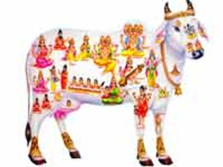 ಸಕಲವನ್ನೂ ನೀಡುವ ಗೋಮಾತೆಗೆ ನಮನ