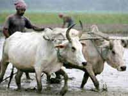 5.9 ಲಕ್ಷ ಕೋಟಿ ಮೀರಿದ ರೈತರ ಸಾಲ