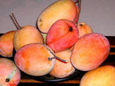 ಸ್ಸಾರಿ, ಶ್ರೀನಿವಾಸಪುರ ಮಾವು ಬಂದಿಲ್ಲರೀ. ..