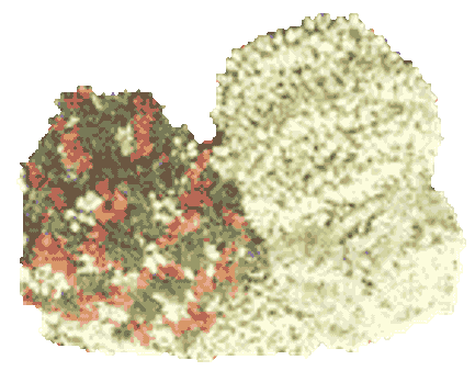 ಮಲ್ಲಿಗೆ ದಂಡೆ: ಇದು ಹೆಂಗಸರ ಪಾಳಿ !