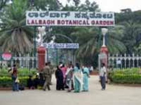 ಲಾಲ್ ಬಾಗ್ ಗೆ ರಾಕ್ ಗಾರ್ಡನ್, ಸಂಗೀತ ಕಾರಂಜಿ