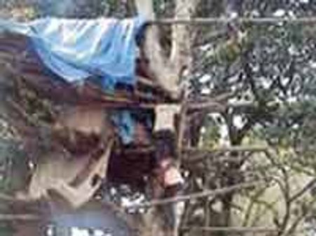 ಕೋಡಂಗಿ ಗಿರಿಜನರಿಗೆ 'ಮರವೇ' ಮನೆ