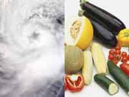 ರಾಜ್ಯಕ್ಕೆ ಅಪ್ಪಳಿದ ಲೈಲಾ ಮತ್ತು ಬೆಲೆ ಏರಿಕೆ