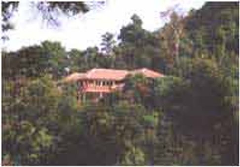 ಉಪಾಸನ ಸಂಸ್ಥೆಯ ಸಾಮಾಜಿಕ ಮುಖ