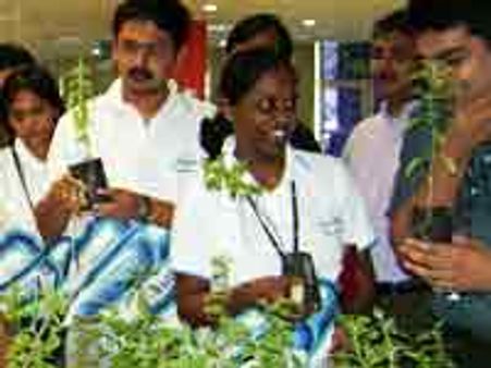 ತುಳಸಿ ಬೆಳೆಸಿ ಮನುಕುಲ ಉಳಿಸಿ