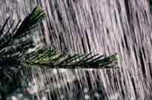 ಗೌರಿಬಿದನೂರು ಜನತೆಗೆ ತಂಪೆರೆದ ಮಳೆ