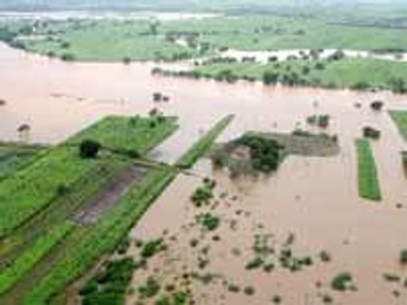 ಕೋಟಿ ನೆರೆ ರೊಕ್ಕ ಲಪಟಾಯಿಸಿದ್ದವನ ಬಂಧನ