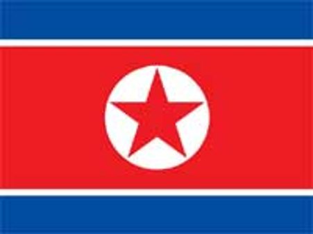 ಪಂದ್ಯ ಗೆದ್ದ ಬ್ರೆಜಿಲ್;ಮನ ಗೆದ್ದ ಉ.ಕೊರಿಯಾ