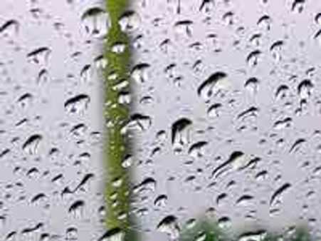 ಮಳೆಯ ಪರಿಮಳ ಎಲ್ಲೆಲ್ಲಿಗೆ ತಲುಪಿಲ್ಲ?