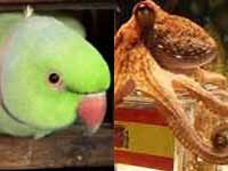 ಇಂಥ ಭವಿಷ್ಯಗಳನ್ನು ನೀವು ನಂಬುತ್ತೀರಾ?