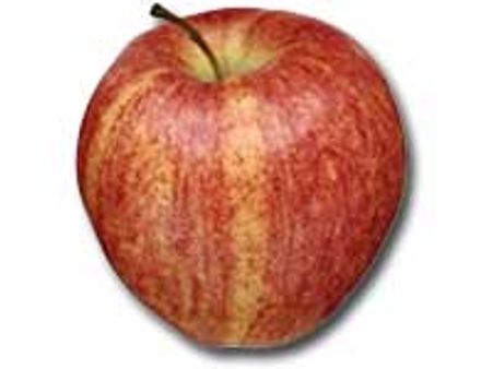 ಬಂಪರ್ ಬೆಳೆ ಕಾರಣ, ಬಡವರ ಕೈಗೆಟುಕಿದ ಸೇಬು