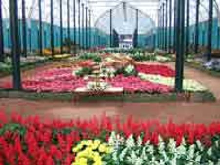 ಆ. 6ರಿಂದ ಲಾಲ್‌ಬಾಗ್‌ ನಲ್ಲಿ ಪುಷ್ಪ ಪ್ರದರ್ಶನ