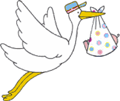 ಹಾಗಾದರೆ ನೀನು ಸಾಹಿತಿಯಲ್ಲ, ಬಾಣಂತಿ!