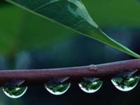 ಬೆಂಗಳೂರಿನಲ್ಲಿ ಜಿಟಿಜಿಟಿ ಮಳೆ; ಸಂಚಾರ ಅಸ್ತವ್ಯಸ್ತ