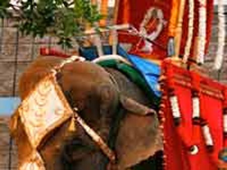 ಅಮೆರಿಕಾದಲ್ಲಿ 'ಅಕ್ಕ'ರೆಯ ಮೈಸೂರು ದಸರಾ