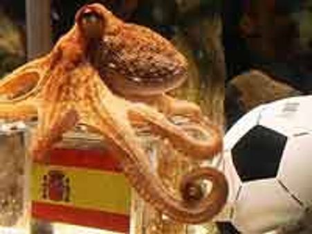 ಭವಿಷ್ಯಗಾರ ಆಕ್ಟೋಪಸ್ ಪೌಲ್ ಇನ್ನು ನೆನಪು ಮಾತ್ರ