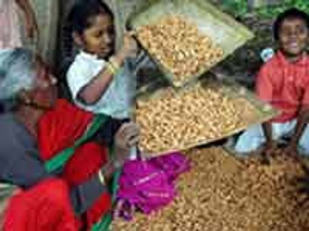 ಕಡ್ಲೇಕಾಯಿ ಪರಿಷೆಗೆ ಬಸವನಗುಡಿ ಸಕಲ ಸಿದ್ಧತೆ