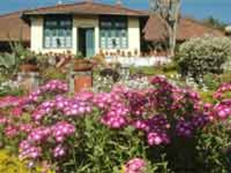 ಕೊಡಗಿನಲ್ಲಿ ಅಪರೂಪದ ಪುಷ್ಪೋದ್ಯಾನವನ