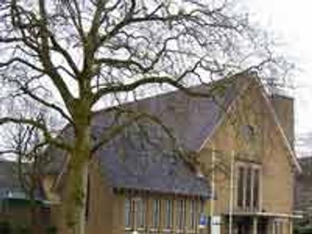 ವೈಫೈ ವಿಕಿರಣಗಳು ಮರಗಳಿಗೆ ಮಾರಕವೇ?