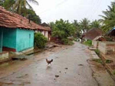 ಸಾಲುಕೊಪ್ಪಲೆಂಬ ಶೀತಪೀಡಿತ ಗ್ರಾಮ