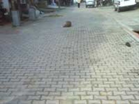 ಇಂದು ಭದ್ರಾವತಿ ಬಂದ್‌ ಅಂತೆ... ಹೌದಾ?