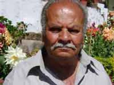 ಕಾಫಿ ತೋಟದ ಉದ್ಯಾನವನದಲ್ಲಿ ಪುಷ್ಪ ಪ್ರೇಮಿಗಳು