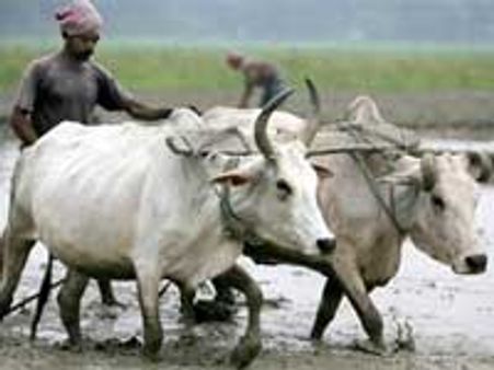 ಕೃಷಿಗೆ ಪ್ರತ್ಯೇಕ ಬಜೆಟ್ ಯಡ್ಡಿ ಗಿಮಿಕ್