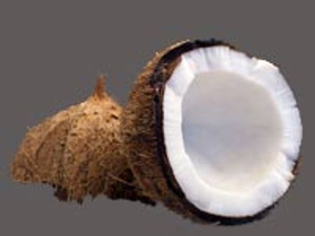 ತೆಂಗಿನಕಾಯಿ ತುಟ್ಟಿ: ಒಂದು ಕಾಯಿಗೆ 20 ರು!