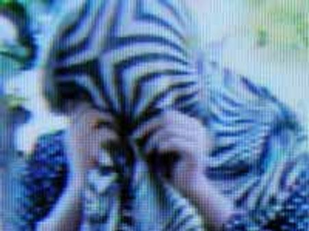 ಮೈಸೂರಿನಲ್ಲಿ ವೇಶ್ಯಾವಾಟಿಕೆ: ನಾಲ್ವರ ಬಂಧನ